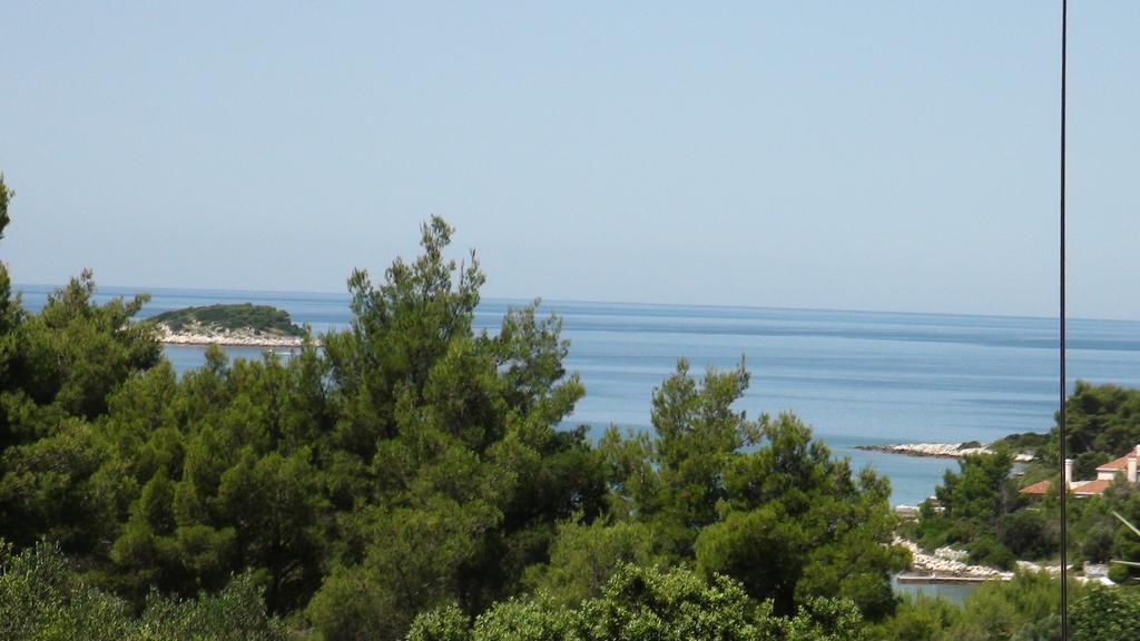 Apartment Vesna Vela Luka Bagian luar foto