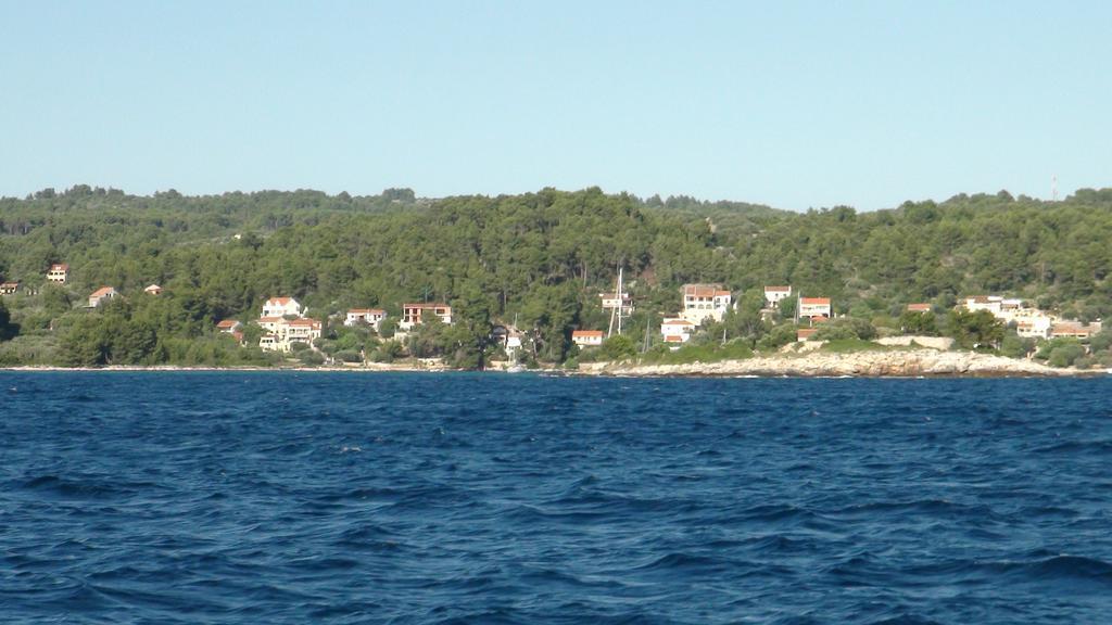 Apartment Vesna Vela Luka Bagian luar foto