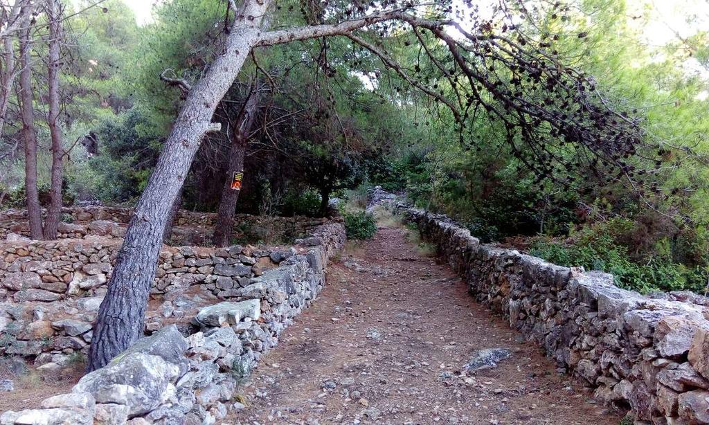 Apartment Vesna Vela Luka Bagian luar foto